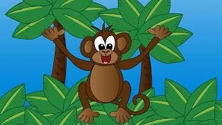 Meet the Monkey  Animals at the Zoo  Learn the Sounds Zoo Animals Make [upl. by Raama]