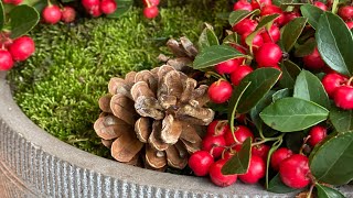 ❄️ Wintergreen  Gaultheria  Arrangement ❄️ [upl. by Palladin588]