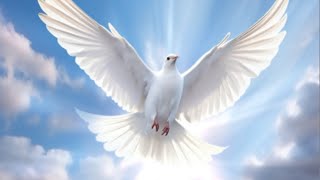 I MET THE HOLY SPIRIT PERSONALLY 12 HRS IN HEAVEN PENIEL ETERNAL FILES [upl. by Ojadnama841]