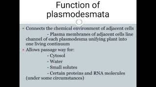 Functions and Structure of Plasmodesmata [upl. by Tfat]