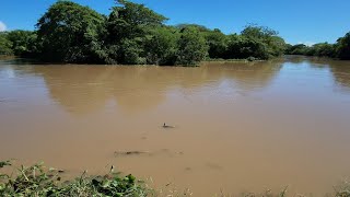 After dangerous flooding and weather in Jamaica [upl. by Misti99]