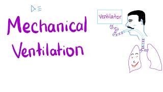 Mechanical Ventilation  Most COMPREHENSIVE Explanation 🤫 [upl. by Valeda249]