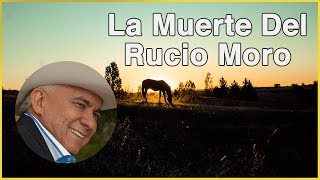 La Muerte Del Rucio Moro  Reynaldo Armas letra HD [upl. by Server]