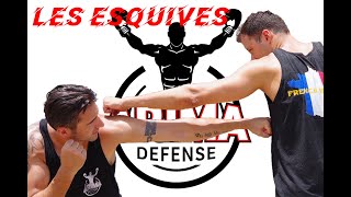 LES 6 ESQUIVES A ABSOLUMENT MAITRISER EN BOXE [upl. by Bessy]