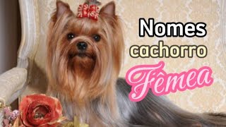 Os melhores nomes para cachorro Fêmea  2024 [upl. by Innob]