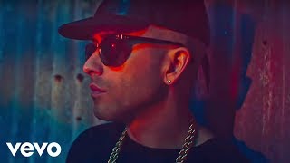 Yandel  Encantadora Official Video [upl. by Anaeirb]