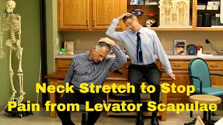 Fastest Neck Stretch to Stop Pain from Levator Scapulae [upl. by Stila532]