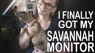 I FINALLY GOT MY SAVANNAH MONITOR Welcome home Archiebal [upl. by Scoles325]