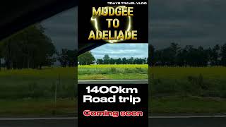 Mudgee to AdelaideRoad trip1400km [upl. by Aitnecserc]