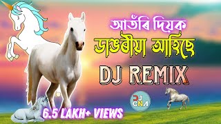 Dangoria Ahise Atori Diok । Viral Assamese Dialogue । DJ CNA । Dialogue With Beat Mix 2024 [upl. by Gamages]