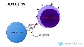 Monoclonal antibodies and their mechanism of action [upl. by Oecile]