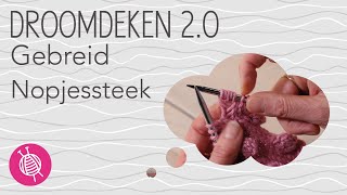 Gebreide Droomdeken 20  Week 3  Nopjessteek [upl. by Magree319]