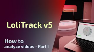 LoliTrack v5  2D Tracking  How to analyze videos  Part I [upl. by Marih]