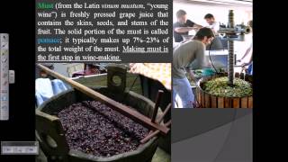 Wine production process of wine wine making [upl. by Zulaledairam83]