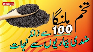 Tukham Malanga  Benefits amp How to Use Basil Seeds [upl. by Elaval]