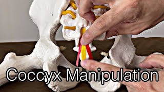 How to do neural manipulation for coccygeal nerve English [upl. by Dacie]