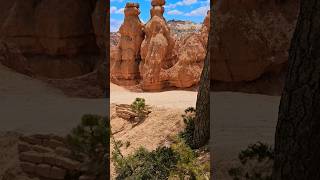 Bryce Canyon Natl Park Utah Hiking Navajo Trail with Sushi brycecanyon [upl. by Fiore]