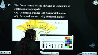 The florets small sessile flowers in capitulum of sunflower are arranged in [upl. by Suvart]