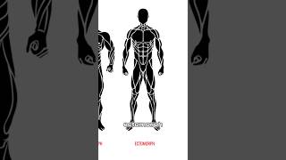 Ectomorph Training Tutorial bodybuilding ectomorph [upl. by Philana]