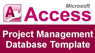 Microsoft Access Project Management Database Template [upl. by Ejrog640]