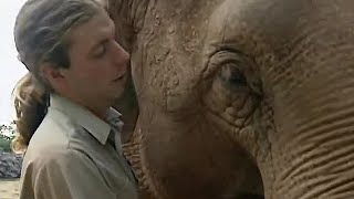 How Smart are Elephants  The Zoo Keepers  BBC Earth [upl. by Nosreve]