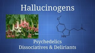 Hallucinogens How Psychedelics Dissociatives amp Deliriants Differ [upl. by Akiemat]