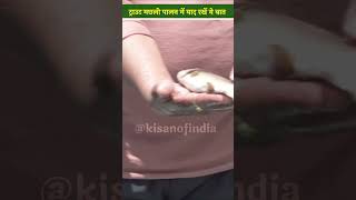 मछली पालक Trout Fish Farming में इन बातों का रखें विशेष ध्यान  Aquaculture  Trout Fish Farming [upl. by Enitsenre]