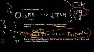 Normal Thyroid Changes in Pregnancy Essential USMLE Thyroid Video Part 5 [upl. by Galliett]