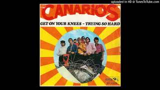 CANARIOS quotGet on your kneesquot 1968 [upl. by Ydieh]