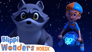 Nattdyr  Blippi Wonders Norske  tegneserier for barn  Pedagogiske videoer [upl. by Ttessil]