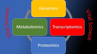 Metabolomics [upl. by Lyssa178]