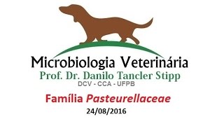 Micro Vet 20161 Aula 08  Família Pasteurellaceae [upl. by Yeuh500]