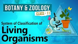 Introduction of Life Processes  Life Processes Class 10 Science Biology  Shipra Mam [upl. by Mulloy]