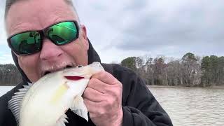 Groceries  Crappie Fishing [upl. by Snapp222]