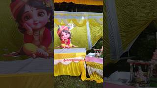 भव्य Krishn जन्मोत्सव इनradhekrishna iscontemple templeshortsvideo bhakti [upl. by Tapes]