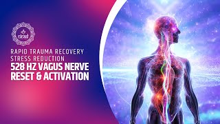 528 Hz Vagus Nerve Reset amp Activation  Rapid Trauma Recovery Stress Reduction  Music Therapy [upl. by Dunn]