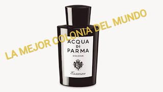 ACQUA DI PARMA COLONIA ESSENZA  la mejor colonia del mundo [upl. by Ellesor]