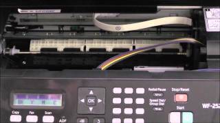 Installazione CISS per Stampante Epson WF2510 WF2520 WF2530 WF2540 [upl. by Nor]