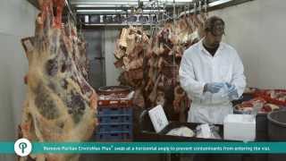 Environmental Swabbing  How to Collect Samples from Meat [upl. by Koller132]