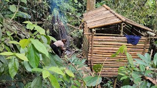 Build a shelter in the middle of the forest experience sleeping overnight [upl. by Dry]