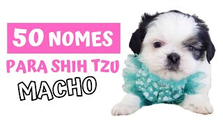 NOMES FOFOS E ELEGANTES PARA SHIH TZU MACHO [upl. by Annotahs]