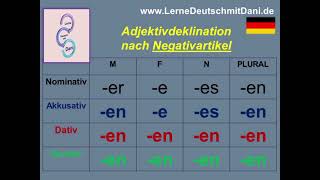 Deutsch lernen Adjektivdeklination nach Negativartikel kein [upl. by Lemraj906]