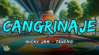 Cangrinaje  Nicky Jam x Trueno Letra  Lyrics [upl. by Orlosky]