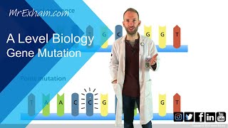 Gene mutation  A Level Biology [upl. by Ahsemed576]