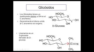 Org10221Carbohidratos 2020 [upl. by Aizirk]
