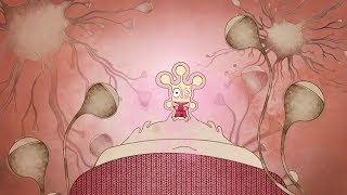 Neurotransmitter  animated video science [upl. by Bailie]