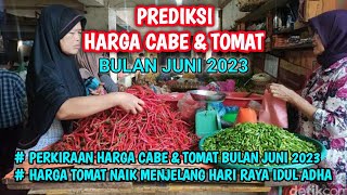 prediksi harga cabai bulan juni 2023  prediksi harga tomat bulan juni 2023 [upl. by Robi165]