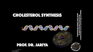 CHOLESTEROL SYNTHESIS AND CLINICAL CORRELATIONS [upl. by Natam]