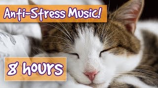 Songs for Nervous Cats Soothing Music to Calm Your Hyperactive Anxious Cat and Help with Sleep 🐈 [upl. by Ahsinac904]