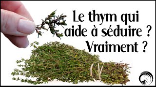 Le thym la plante qui vous permet de booster vos forces physiques et psychiques [upl. by Nnil]